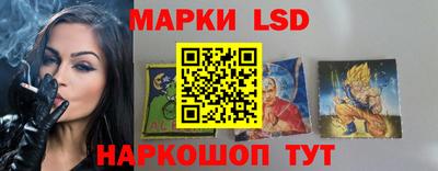 прущие крисы Камышлов