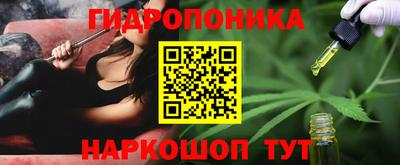 крисы Ипатово