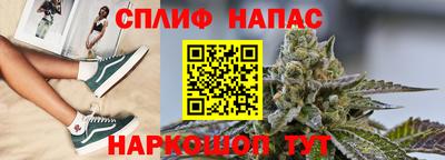прущие крисы Камышлов