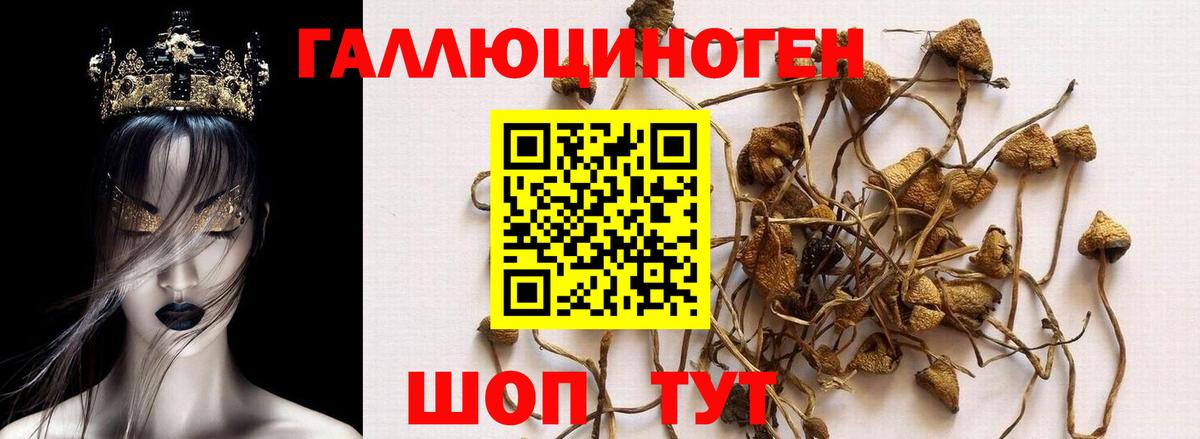 Галлюциногенные грибы Psilocybe  Вход с VPN  Тольятти 