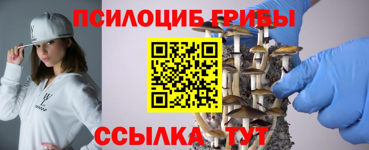 Псилоцибиновые грибы мицелий Тольятти